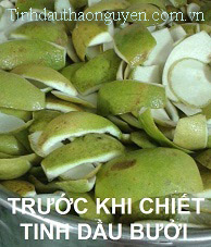 Nguy&ecirc;n liệu tinh dầu vỏ bưởi Thảo Nguy&ecirc;n